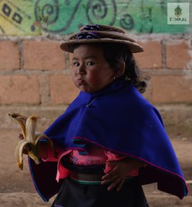 Conociendo y apoyando el proceso político-organizativo del Consejo Regional Indígena del Huila – CRIHU